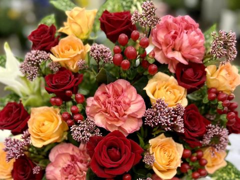 ご来店頂いております